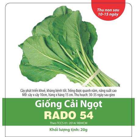 Hạt giống Cải ngọt Rado 54 - 50gr