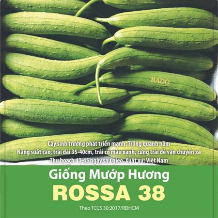 Hạt giống Mướp hương Rossa 38 - Gói 100 hạt