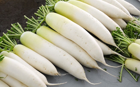 Hạt giống Củ cải trắng dài 