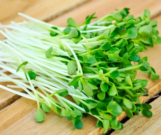Hạt giống rau mầm Cải mầm 20gr