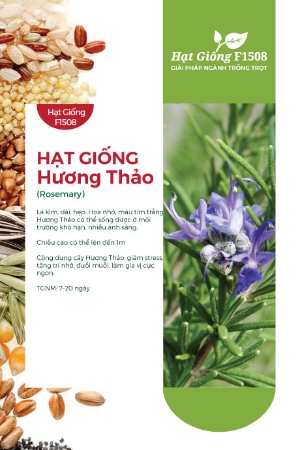 Hạt giống Hương thảo