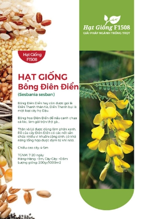 Hạt giống Bông Điên Điển