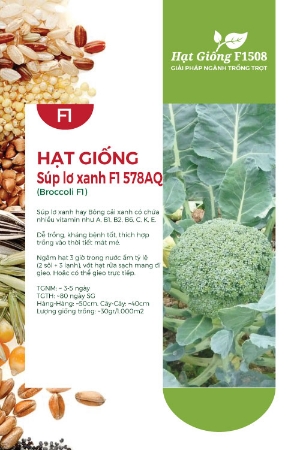 Hạt giống Súp lơ xanh F1 578AQ - Bông cải xanh Broccoli