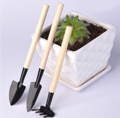 Bộ dụng cụ làm vườn mini 3 món