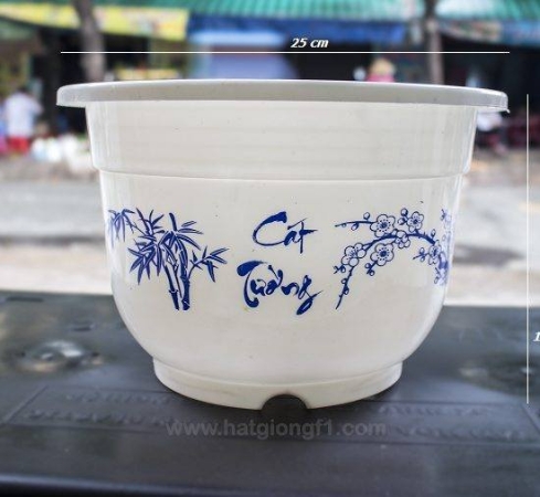 Chậu nhựa kiểng in bông 25x16
