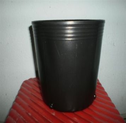 Chậu nhựa mềm trồng cây giá rẻ 24x17x23H