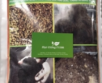 Chế phẩm ủ phân trichoderma