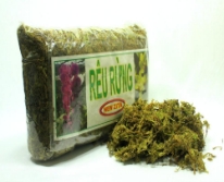 Giá thể Rêu rừng trồng Lan