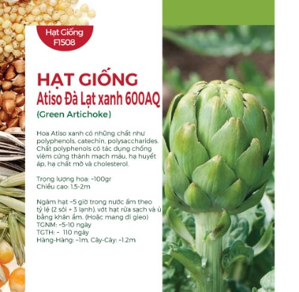 Hạt giống Atiso Đà Lạt xanh 600AQ