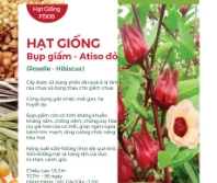 Hạt giống Bụp giấm - Atiso đỏ 602AQ