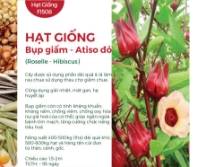 Hạt giống Bụp giấm - Atiso đỏ 602AQ