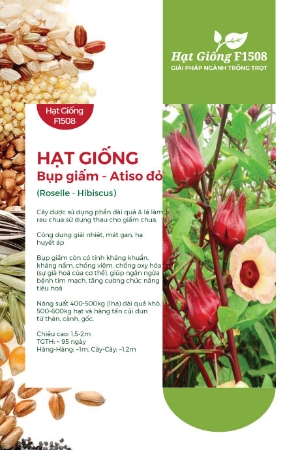 Hạt giống Bụp giấm - Atiso đỏ 602AQ
