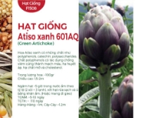 Hạt giống Atiso Đà Lạt tím 601AQ