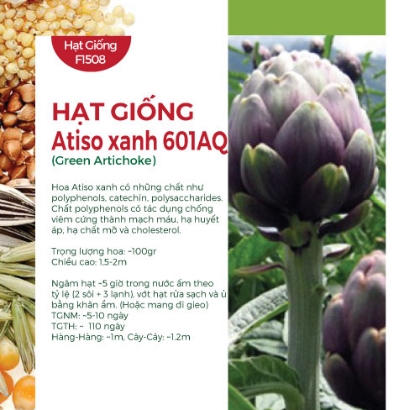 Hạt giống Atiso Đà Lạt tím 601AQ