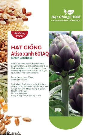 Hạt giống Atiso Đà Lạt tím 601AQ