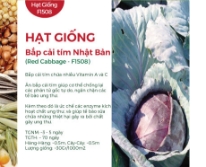 Hạt giống Bắp cải tím Nhật Bản