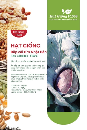 Hạt giống Bắp cải tím Nhật Bản