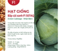 Hạt giống Bắp cải xanh F1 507AQ