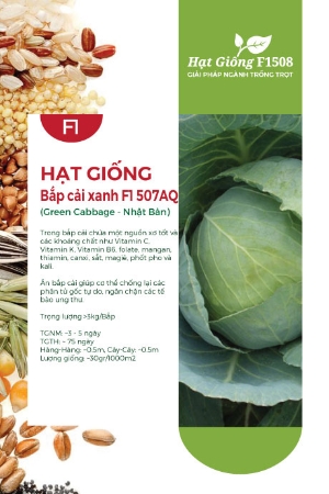 Hạt giống Bắp cải xanh F1 507AQ