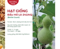 Hạt giống Bầu hồ lô 242AQ