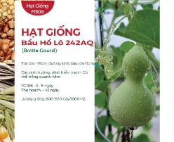 Hạt giống Bầu hồ lô 242AQ