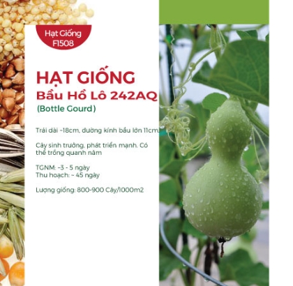 Hạt giống Bầu hồ lô 242AQ