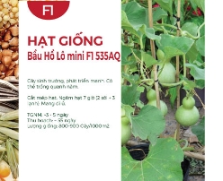 Hạt giống Bầu hồ lô mini F1 535AQ