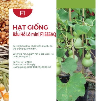 Hạt giống Bầu hồ lô mini F1 535AQ