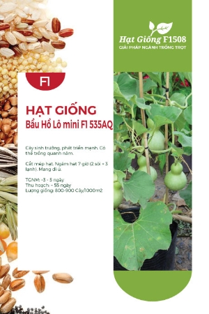 Hạt giống Bầu hồ lô mini F1 535AQ