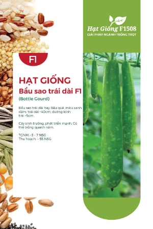 Hạt giống Bầu sao trái dài F1 597AQ