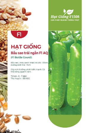 Hạt giống Bầu sao trái ngắn F1 AQ