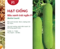 Hạt giống Bầu xanh trái ngắn F1 218AQ
