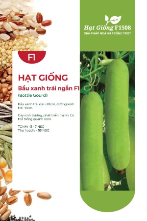 Hạt giống Bầu xanh trái ngắn F1 218AQ