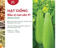 Hạt giống Bầu xị F1 400AQ