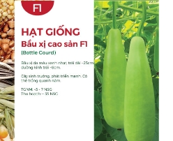 Hạt giống Bầu xị F1 400AQ