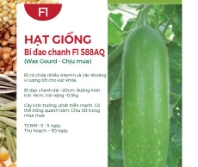 Hạt giống Bí đao chanh F1 588AQ - Chịu mưa