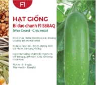 Hạt giống Bí đao chanh F1 588AQ - Chịu mưa
