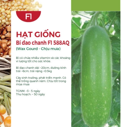 Hạt giống Bí đao chanh F1 588AQ - Chịu mưa