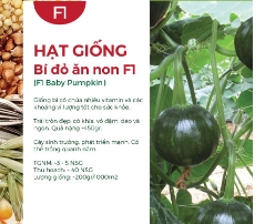 Hạt giống Bí đỏ ăn non F1