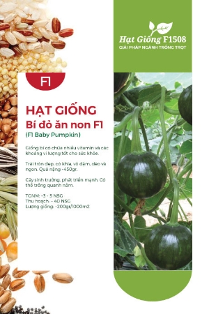 Hạt giống Bí đỏ ăn non F1