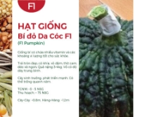 Hạt giống Bí đỏ da cóc F1