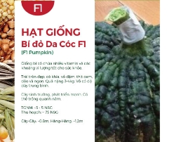 Hạt giống Bí đỏ da cóc F1