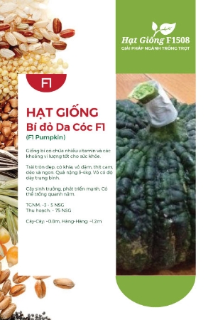 Hạt giống Bí đỏ da cóc F1