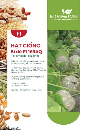 Hạt giống Bí đỏ F1 169AQ - Trái nhỏ