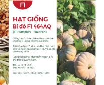 Hạt giống Bí đỏ F1 464AQ - Trái lớn 4Kg