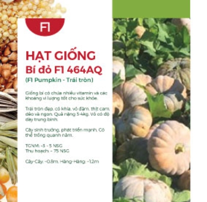 Hạt giống Bí đỏ F1 464AQ - Trái lớn 4Kg