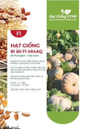 Hạt giống Bí đỏ F1 464AQ - Trái lớn 4Kg