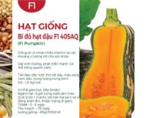 Hạt giống Bí đỏ hạt đậu F1 405AQ