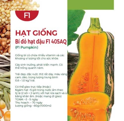 Hạt giống Bí đỏ hạt đậu F1 405AQ