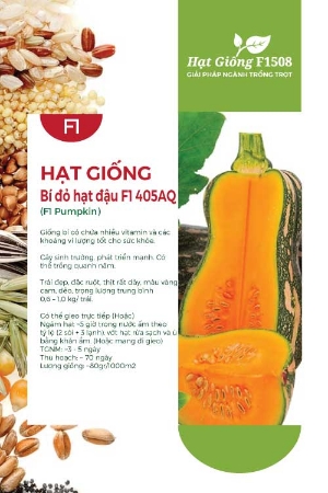 Hạt giống Bí đỏ hạt đậu F1 405AQ